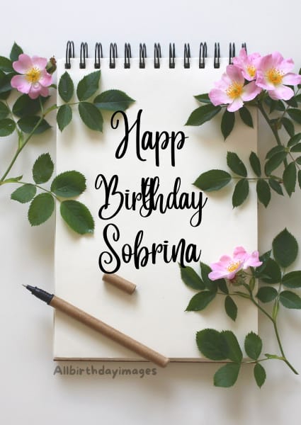 Happy Birthday Niece/Sobrina Cards