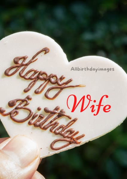 Happy Birthday Wife Cards